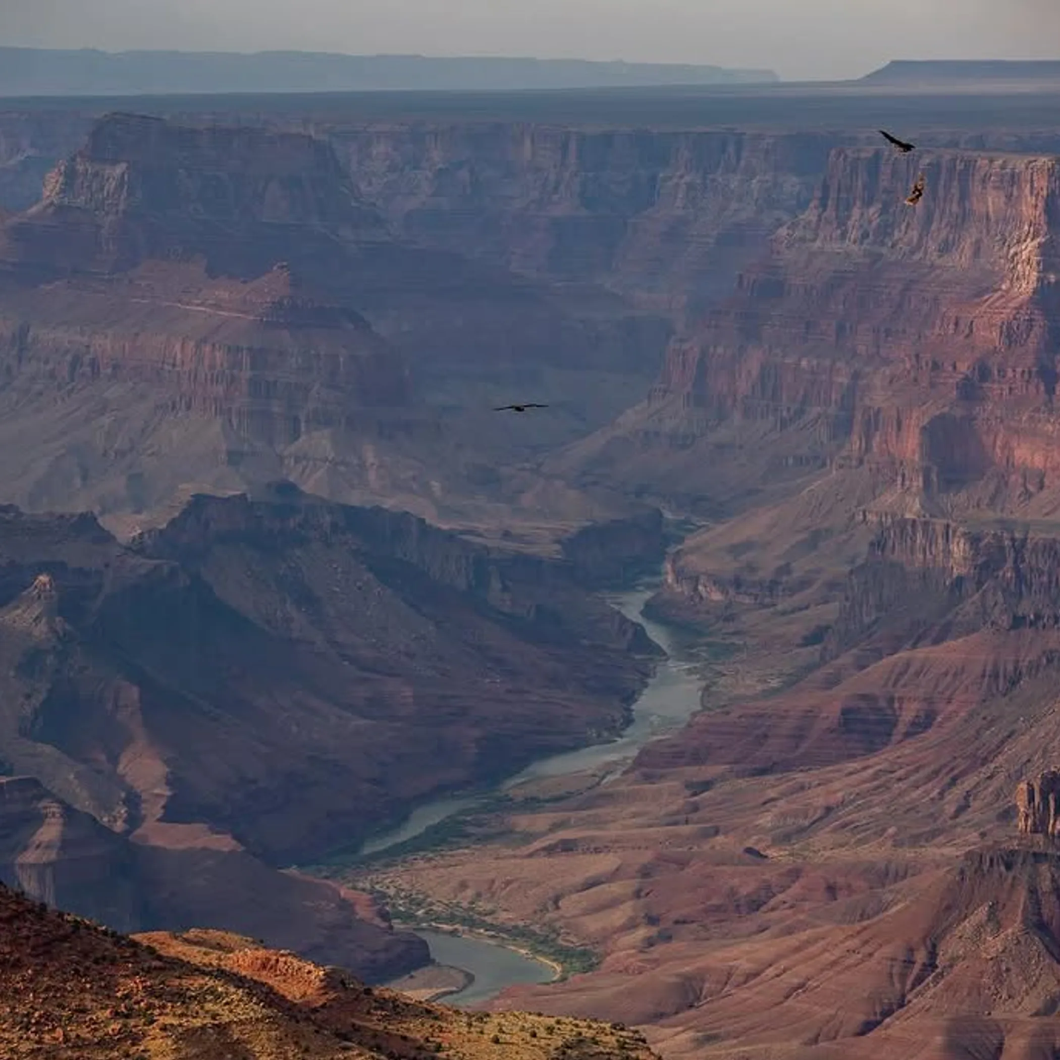 grand canyon desert viewpoint panorama